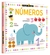 NUMEROS