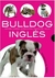 BULLDOG INGLES