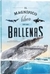 EL MAGNIFICO LIBRO DE LAS BALLENAS