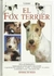 EL FOX TERRIER **PROMO**