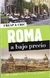 ROMA A BAJO PRECIO