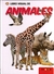 LIBRO VISUAL DE ANIMALES