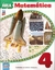 AREA MATEMATICA 4 **NOVEDAD 2019**