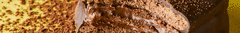 Banner de la categoría ALFAJORES Y CONITOS
