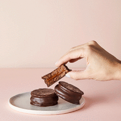 ALFAJORES DE DULCE DE LECHE X6 en internet