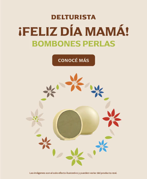 Imagen del carrusel DELTURISTA