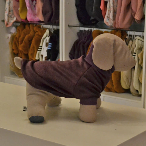 Buzo Para Perro - Corderoy Uva