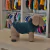 Buzo Para Perro Modelo Frisa y Corderito Azul