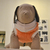 Buzo Para Perro Modelo Smoothie en internet