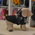 Buzo Para Perro Modelo Camuflado