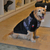 Buzo Para Perro Modelo Camuflado - comprar online