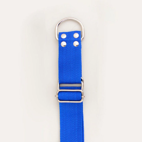 Collar Para Perro Modelo semiahorque (tipo galgo) regulable - comprar online