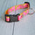 Collar Para Perro Regulable Modelo Morris S - comprar online