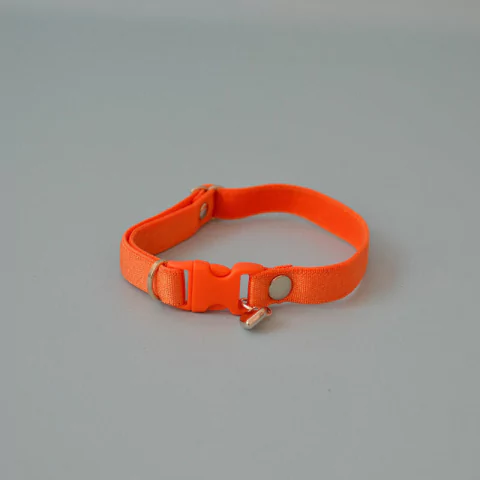 Imagen de Collar Para Gato Modelo Liso Waw