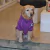Buzo Para Perro Modelo ConverPet Violeta Cuello - comprar online