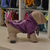 Buzo Para Perro Modelo ConverPet Violeta Capucha