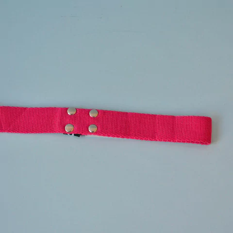 Correa Para Perro Lisa Modelo Largo 7mts - comprar online