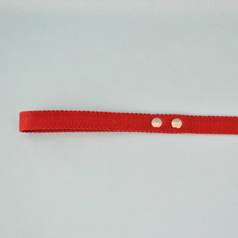 Correa Para Perro Lisa Talle M - Zoona pet