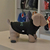 Buzo Para Perro Modelo Iconic - comprar online