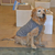 Buzo Para Perro Modelo Jackard Corderito Gris - Zoona pet