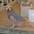 Buzo Para Perro Modelo Jackard Corderito Gris - comprar online