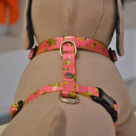 Imagen de Arnés Para Perro Modelo Morris L