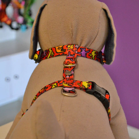Imagen de Arnés Para Perro Modelo Morris M