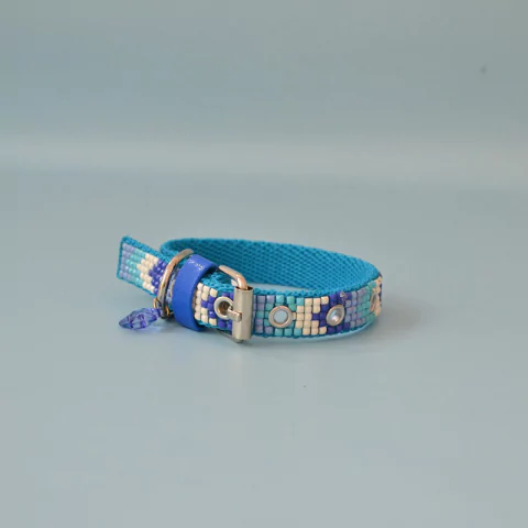 Collar Hebilla Para Perro Modelo Mostacilla Celeste Fino - Zoona pet
