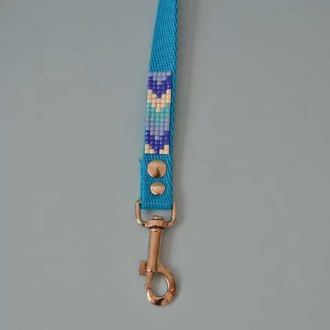Correa Para Perro Modelo Mostacilla Celeste - comprar online