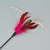 Juguete Para Gato Varilla Modelo Penacho Plumas Home - Zoona pet