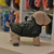 Piloto Para Perro Modelo Black T.0 - T.4