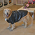 Piloto Para Perro Modelo Black T.5 - T.7 - comprar online