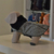 Tapado Con Corderito Para Perro Modelo Piel de Poule - comprar online