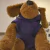 Buzo Para Perro Modelo Tokyo Violeta - tienda online