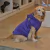 Buzo Para Perro Modelo Tokyo Violeta - comprar online