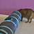 Juguete Para Gato Túnel 2 - tienda online