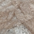 Tul Bordado con Pedrería 245 / 093 - Champagne - comprar online