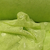 Microtul Bordado Lunares - Verde manzana (POR KILO) - comprar online