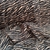 Microtul Estampado Animal Print - Cebra Beige y Negro