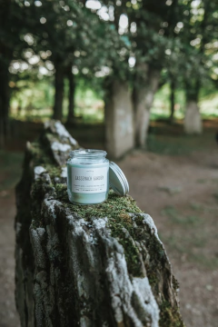 Sassenach Garden | Grass + Scottish heather + Ginger - Melting | Velas Literárias Perfumadas