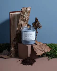 Dias de chuva | Fresh earth + Moss - comprar online
