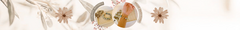 Banner da categoria PULSEIRA