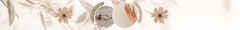Banner da categoria ANEL