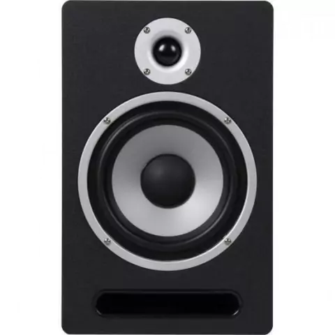 Monitor de Referência Para Estúdio Bi-amplificado M60 HAYONIK