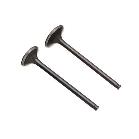 Valvula Adm/esc. (par) Ww3 Cg 125 2009/