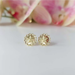 Brinco Estrela Do Mar Trabalhado Folheado Em Ouro 18k na internet