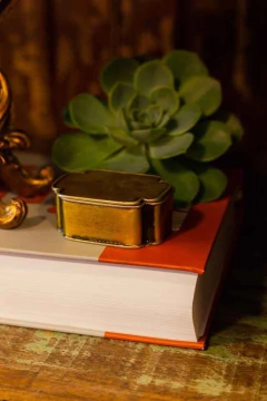 CAIXA - CA-0336 na internet