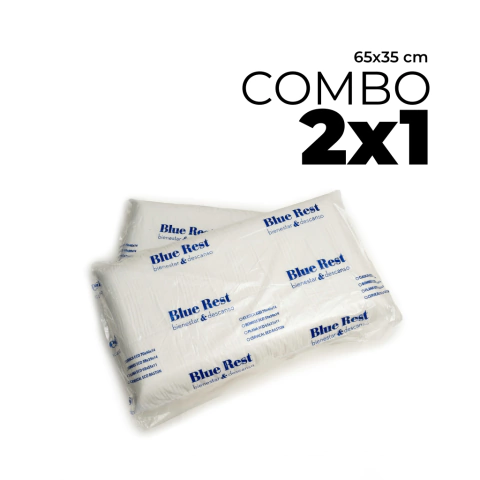 COMBO 2x1 Almohada Blue Rest Eco Microfibra Viscoelastica 65x35x11 - comprar online