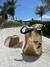 Sombrero Shell* - comprar online