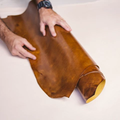 Imagem do WILD SHELL